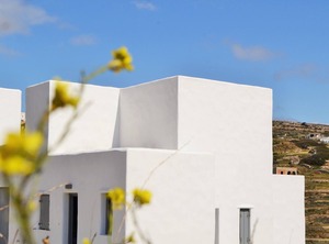 Pelican Paros | Krotiri