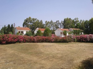 Nerissa Bungalows Kefalonia | Leivathos