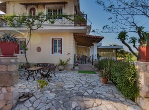 Olive Tree | Pantokratoras