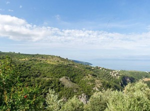 Panorama | Megali Mantineia