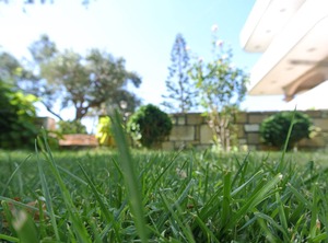 Apartements Olive Grove | Korfalonas