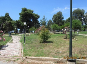 The Beach | Metamorfosi