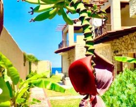 Villa Fourka The Beach | Kassandra