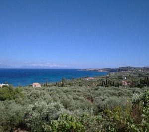 Aggeliki 