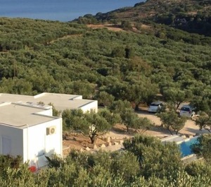 Wecrete East Nopigia Persons 