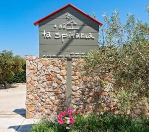 Spitakia 