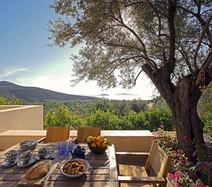 Epidaurus Olive Villa 