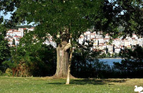 Kastoria Apartment | 110 m² Apartment ∙ 3 bedrooms ∙ 5 guests
