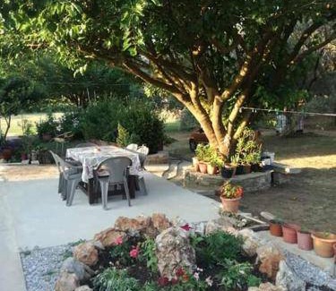 Kato Vrontou Bed & Breakfast | 20 m² Bed and breakfast ∙ 3 guests