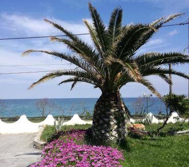 Kato Vrontou Bed & Breakfast | 20 m² Bed and breakfast ∙ 3 guests