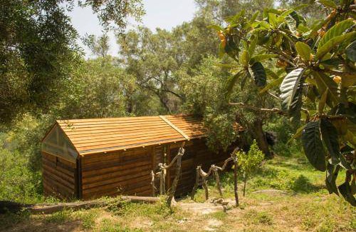 Pelekas Cabin | 20 m² Lodge ∙ 2 guests