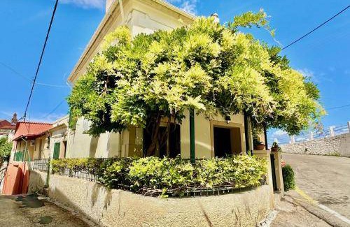 Esperion Villa | 200 m² Villa ∙ 5 bedrooms ∙ 8 guests