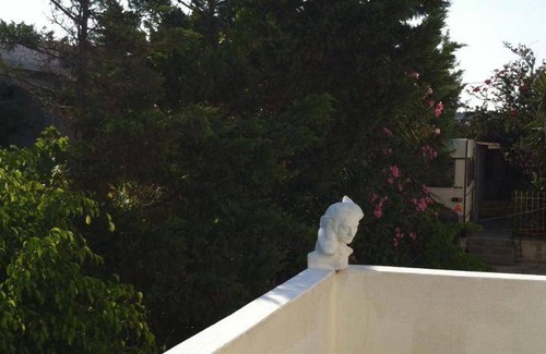 Milos Bed & Breakfast | 22 m² Bed and breakfast ∙ 3 guests