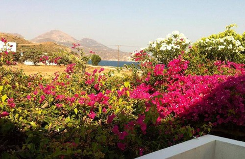 Milos Bed & Breakfast | 22 m² Bed and breakfast ∙ 3 guests