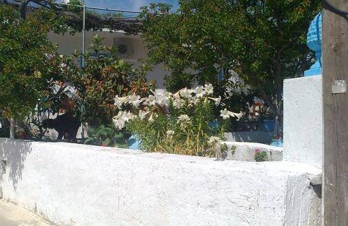 Kefalos Apartment | 25 m² Apartment ∙ 1 bedroom ∙ 2 guests