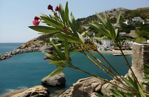 Therma Bed & Breakfast | 25 m² Bed and breakfast ∙ 4 guests