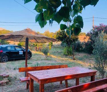Kamariotissa Bed & Breakfast | 25 m² Bed and breakfast ∙ 3 guests
