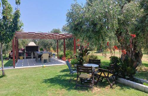Megalos Prinos Hotel | 28 m² Hotel ∙ 3 guests