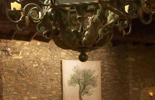 Agios Lavrentios Bed & Breakfast | 37 m² Bed and breakfast ∙ 127 guests