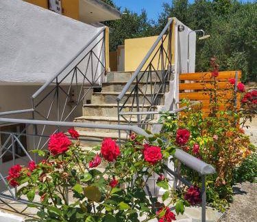 Zalongo Apartment | 45 m² Apartment ∙ 2 bedrooms ∙ 6 guests