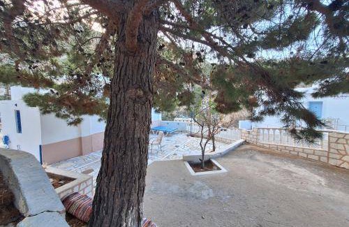 Aperio House | 45 m² House ∙ 1 bedroom ∙ 3 guests