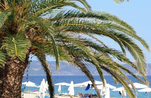Sithonia Hotel | 50 m² Hotel ∙ 2 bedrooms ∙ 127 guests