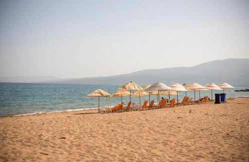 Messini Apartment | 55 m² Apartment ∙ 1 bedroom ∙ 4 guests