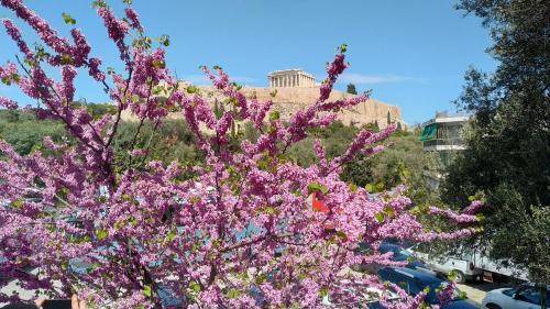 Athens City Centre Apartment | 60 m² Apartment ∙ 1 bedroom ∙ 4 guests