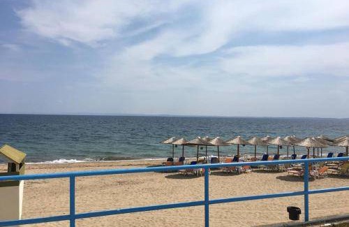 Kalyves Polygyrou Apartment | 65 m² Apartment ∙ 2 bedrooms ∙ 6 guests