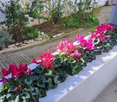 Irakleio House | 68 m² House ∙ 2 bedrooms ∙ 4 guests