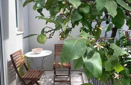 Chalandri House | 78 m² House ∙ 1 bedroom ∙ 3 guests