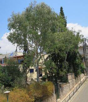 Petralona Apartment | 87 m² Apartment ∙ 2 bedrooms ∙ 6 guests