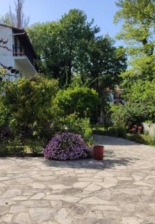 Kokkari Apartment | Alekos Rooms and Apartments