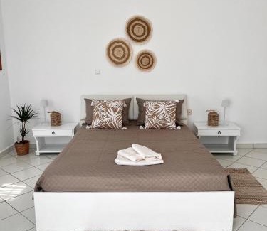 Psinthos House | Andri's Garden House