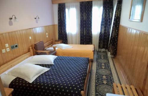 Metsovo Hotel | Asteri Metsovou