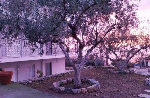 Paralia Vergas Apartment | Blue Yard Apartments