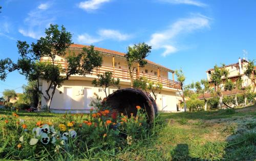 Kavos Apartment | Ever Green