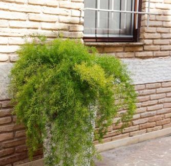 Keratea Apartment | Home4U Κερατέα apt5, just 17Km from airport