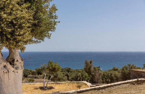 Naxos Apartment | Ligaridia Apartments