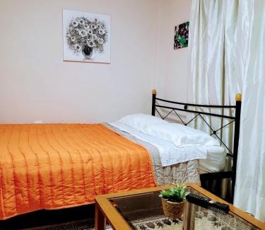 Dafni Apartment | One bedroom apartment