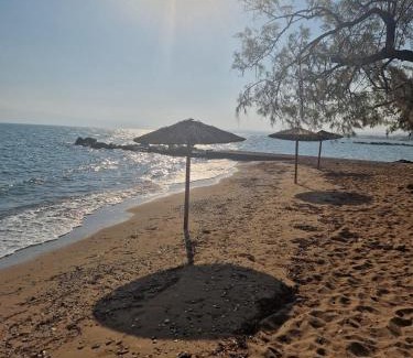 Assos-Lechaio Apartment | Perigiali beach apartment - 2 free bikes