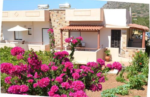 Falassarna Apartment | Romantica Apartments