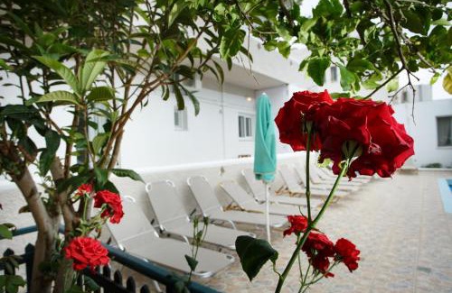 Agios Vasileios Apartment | Spacious Apartment in Plakias