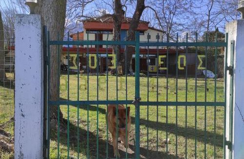 Limin Litochorou Hostel | Summit Zero Hostel
