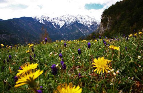Limin Litochorou Hostel | Summit Zero Hostel