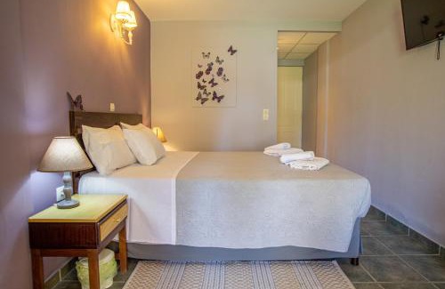 Messonghi Bed & Breakfast | Tellis Holiday Rooms