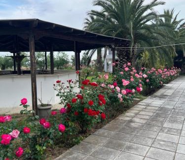 Kalyves Polygyrou Apartment | Traditional Bungalows