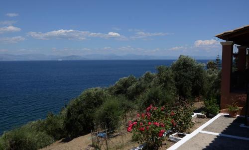 Dafnata House | Villa Marianna