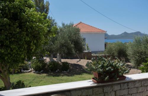 Pylos-Nestoras House | Villa Tapia