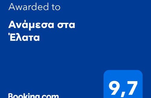 Egira House | Ανάμεσα στα Έλατα